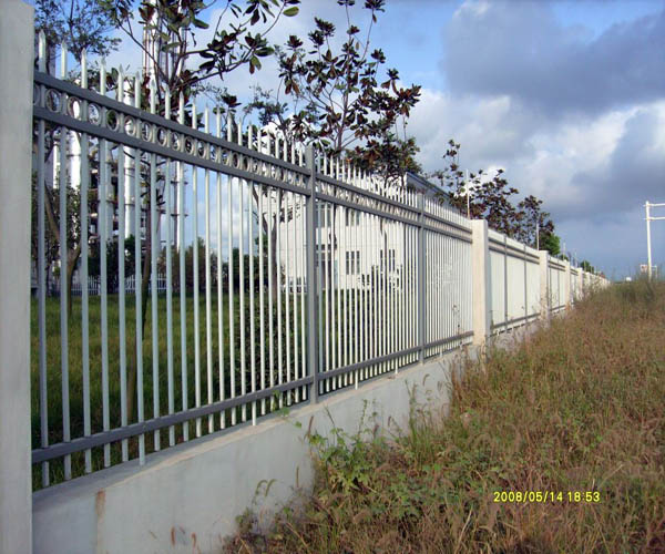 ����п�ֻ���